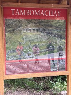 IMG_7063.jpeg