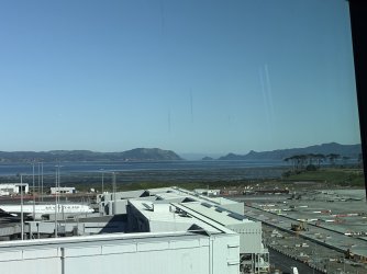 IMG_2109.jpeg