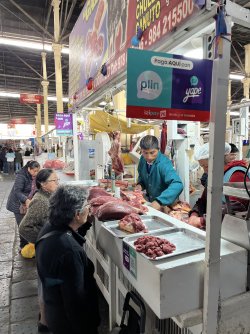 IMG_7101.jpeg