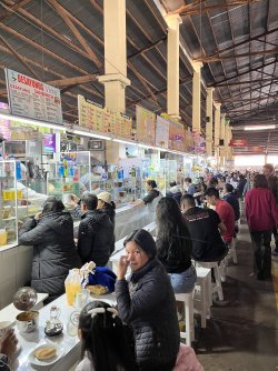 IMG_7095.jpeg