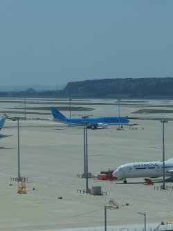 20250504_113103.jpg