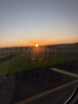 IMG_2114.jpeg