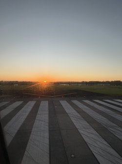 IMG_2115.jpeg