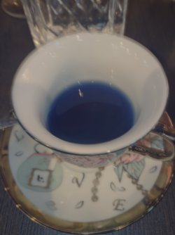 IMG_1626.jpeg