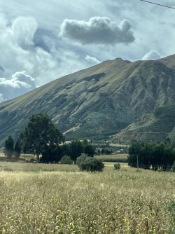 IMG_7210.jpeg