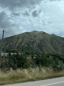IMG_7207.jpeg