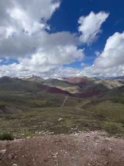 IMG_7174.jpeg
