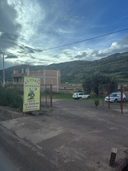 IMG_7231.jpeg