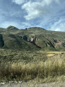 IMG_7228.jpeg