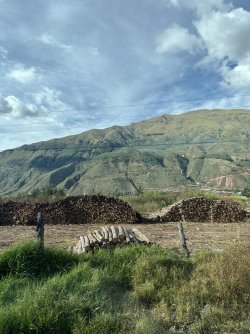 IMG_7221.jpeg
