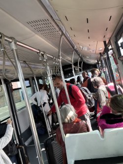 IMG_7248.jpeg