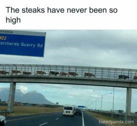 funny-wannabe-memes-17-6818a7e5a8765__700.jpg
