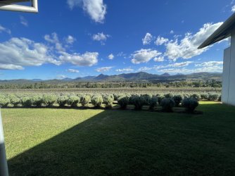 IMG_6110.jpeg
