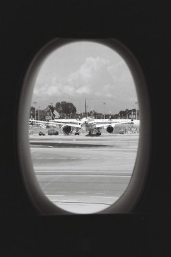 IMG_5309.jpeg