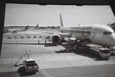 IMG_5312.jpeg