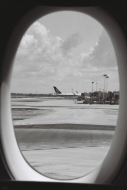 IMG_5302.jpeg