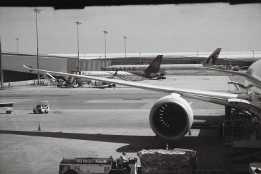 IMG_5301.jpeg