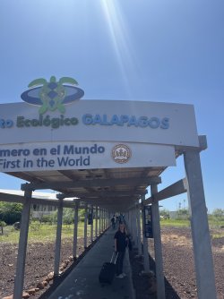 IMG_7329.jpeg