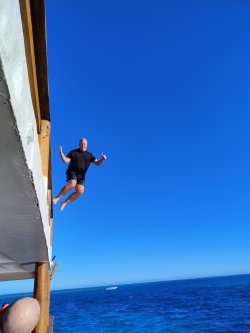 IMG_20250501_161132415_AE.jpg