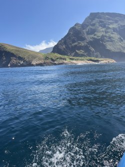 IMG_7368.jpeg
