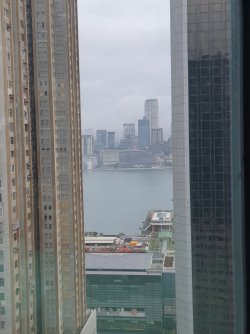 20250509_060441.jpg