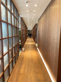 IMG_7050.jpeg