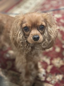 IMG_5789.jpeg