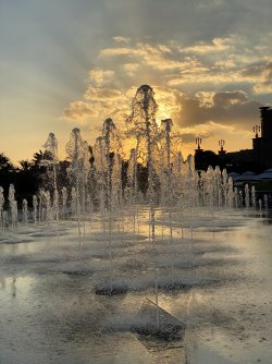 IMG_3798.jpg
