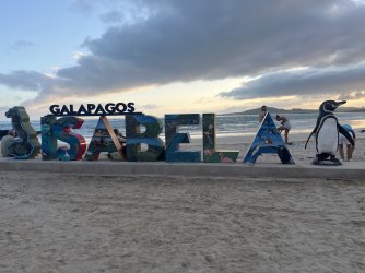 IMG_7539.jpeg