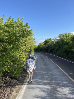 IMG_7520.jpeg