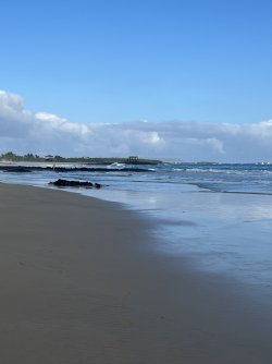 IMG_7523.jpeg