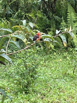 IMG_7472.jpeg