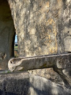 IMG_3921.jpg