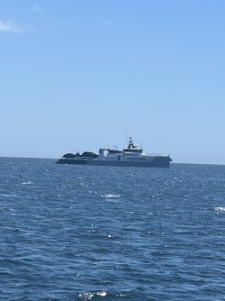 IMG_7574.jpeg