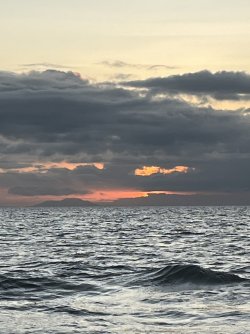 IMG_7593.jpeg
