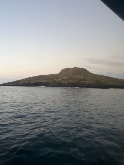 IMG_7558.jpeg