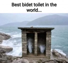 Bidet.jpg
