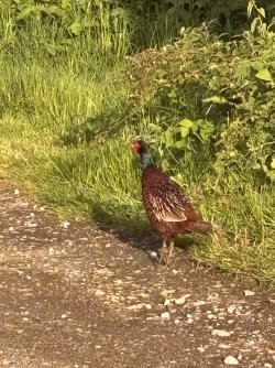 IMG_1473.jpeg