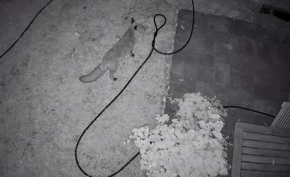 IMG_1991.jpeg