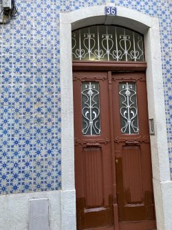 IMG_3950.jpg