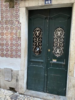 IMG_3952.jpg