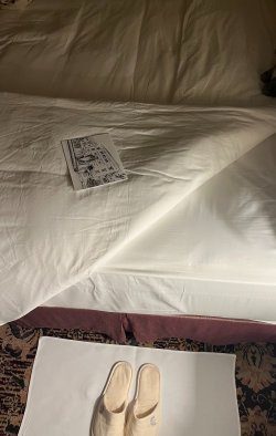 IMG_3946.jpg