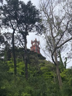 IMG_6055.jpeg
