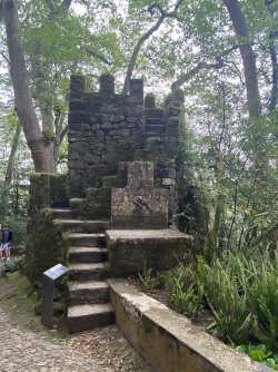 IMG_6084.jpeg