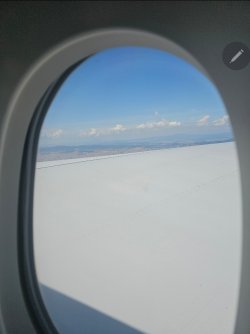 1000082875.jpg