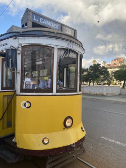 IMG_6111.jpeg