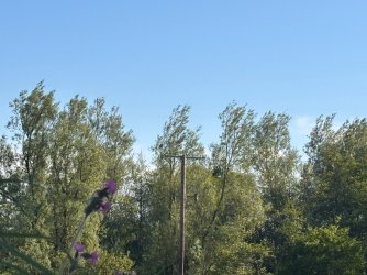 IMG_1509.JPG