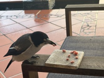 IMG_0388.jpeg