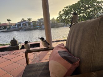 IMG_0364.jpeg