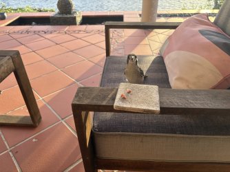 IMG_0362.jpeg